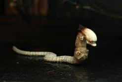 NECA Alien 3 - Dog Alien Actionfigur -Puppenladen 515974 1