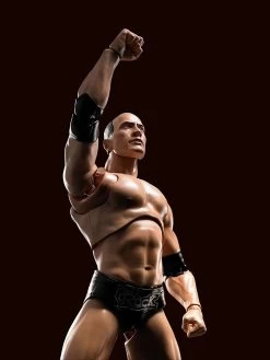 WWE Superstar Series - The Rock - S.H. Figuarts Figur 18 WWE Superstar Series - The Rock - S.H. Figuarts Figur -Puppenladen 81igpavzhnl. ac sl1500